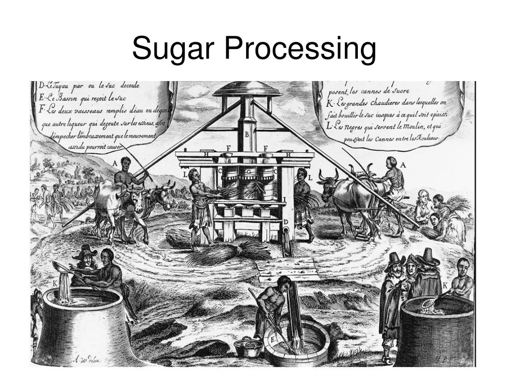 PPT Chapter 18 The Atlantic System & Africa 15501800 PowerPoint