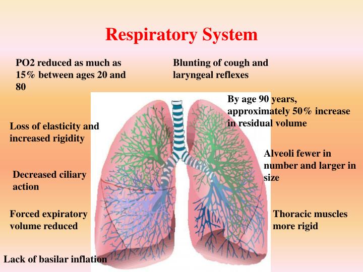 PPT Normal Changes of Aging PowerPoint Presentation ID2921435
