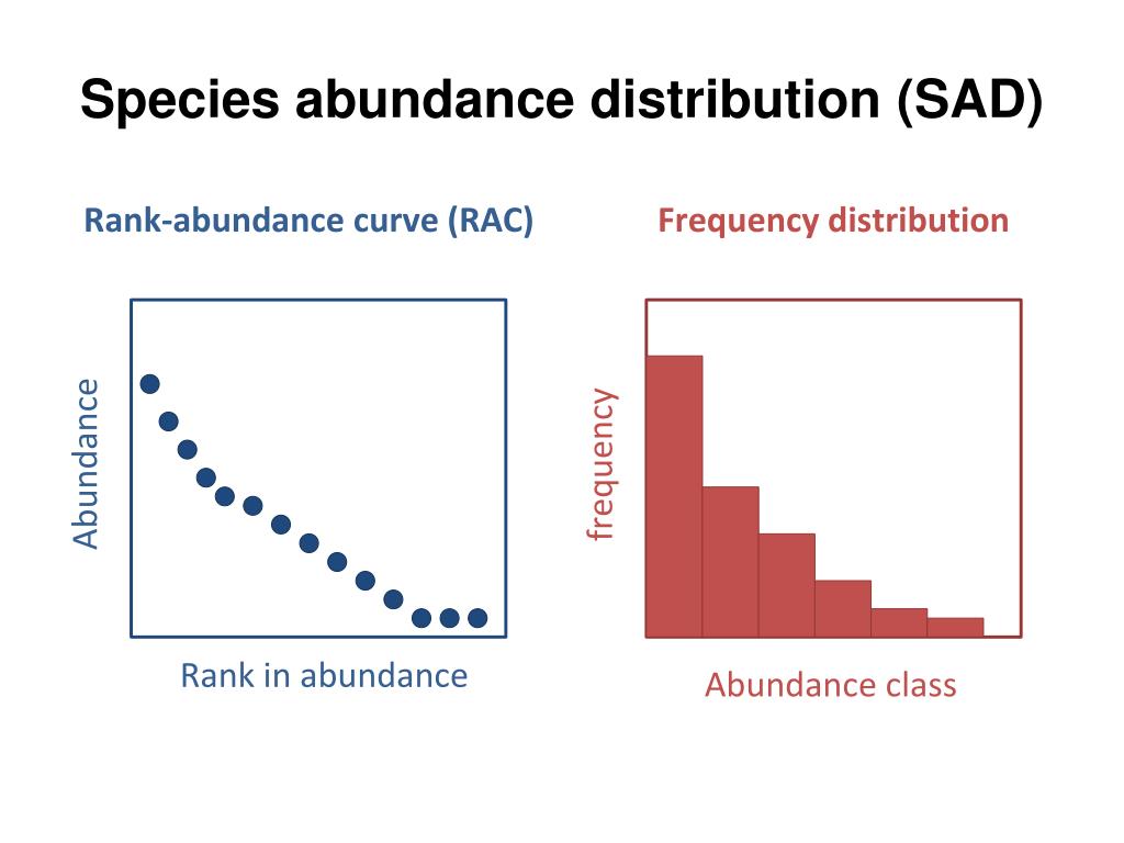 PPT Combinatorial insights into distributions of wealth, size, and