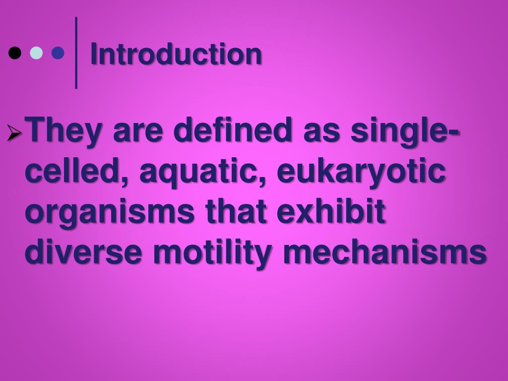 PPT Kingdom Protista Animallike Protists PowerPoint Presentation