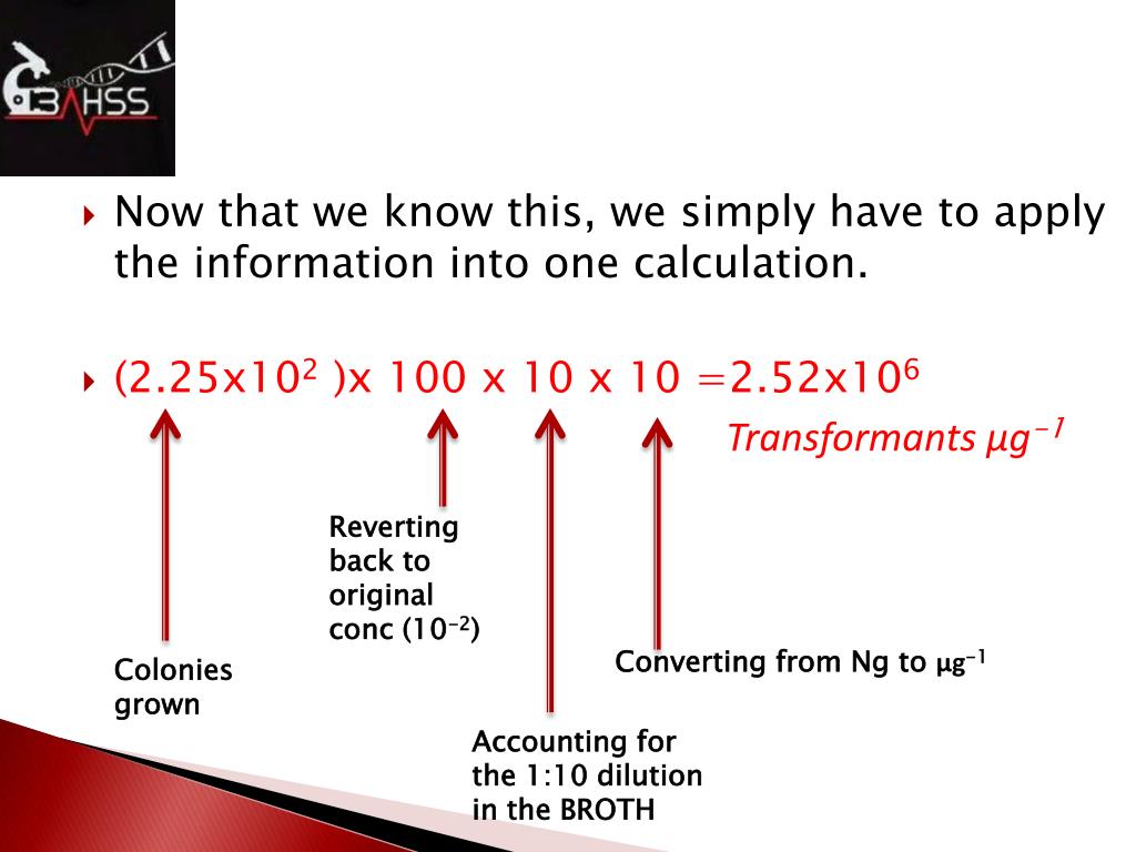 PPT Molecular PowerPoint Presentation ID2927504