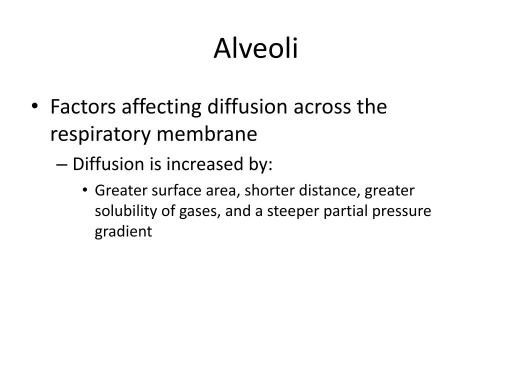 PPT Respiratory System PowerPoint Presentation, free download ID