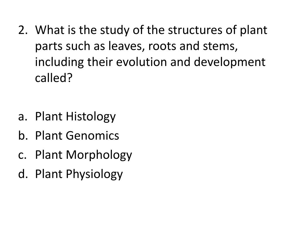 PPT Unit 1 Introduction to Plant Biology Review PowerPoint