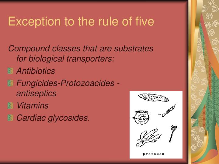 PPT Lipinski’s rule of five PowerPoint Presentation ID2937410