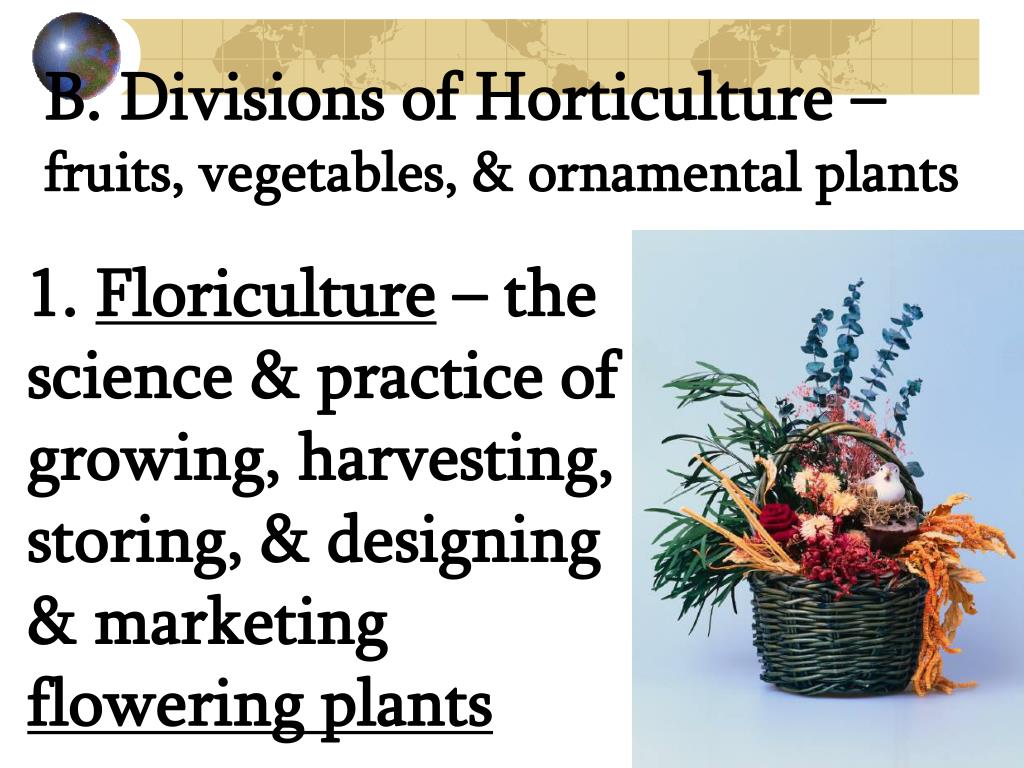 PPT How is horticulture important to our economy? PowerPoint