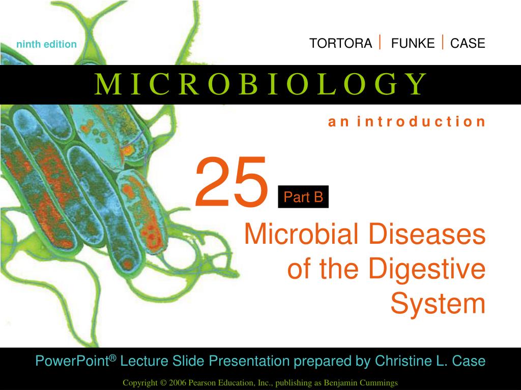 PPT Microbial Diseases of the Digestive System PowerPoint
