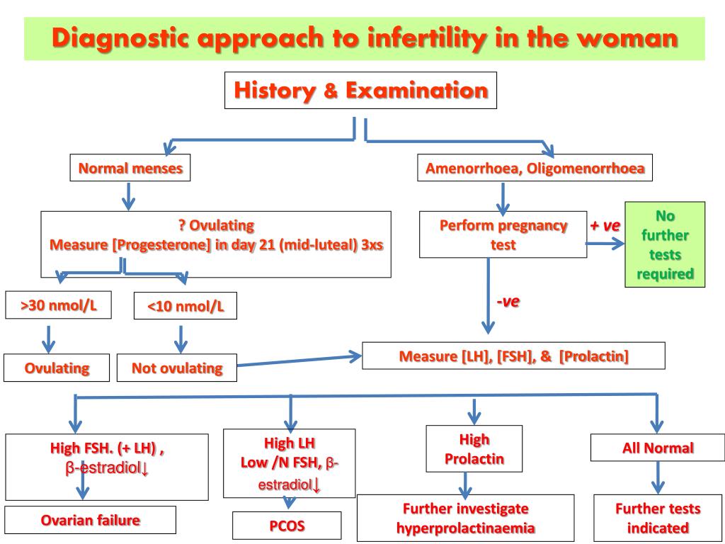 PPT Biochemical Investigations of Infertility PowerPoint Presentation