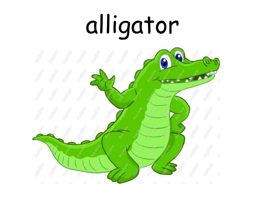 PPT Animals az PowerPoint Presentation, free download ID2941644