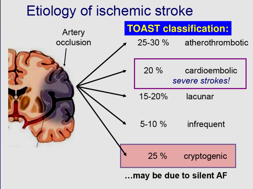 PPT Paolo Colonna, MD FESC Cardiology Hospital, Policlinico of Bari
