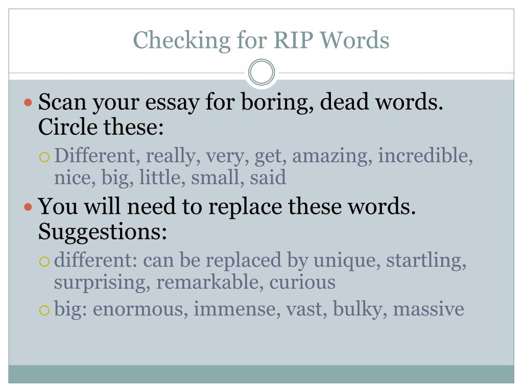 PPT Memory Snapshot Essay Self Assessment PowerPoint Presentation