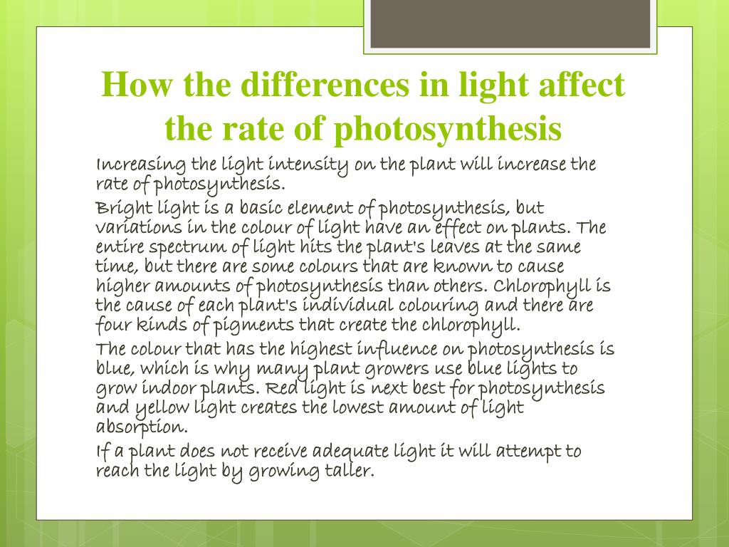 PPT Environmental factors affecting photosynthesis and respiration rates PowerPoint