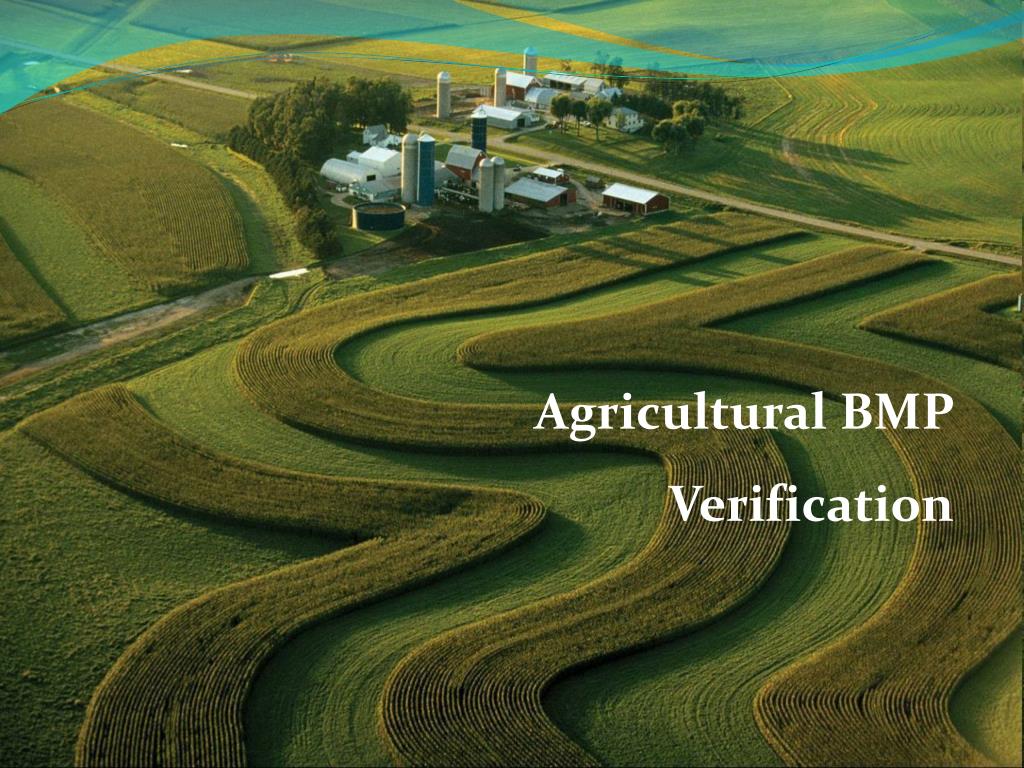 PPT Agricultural BMP Verification Protocols for Best Management