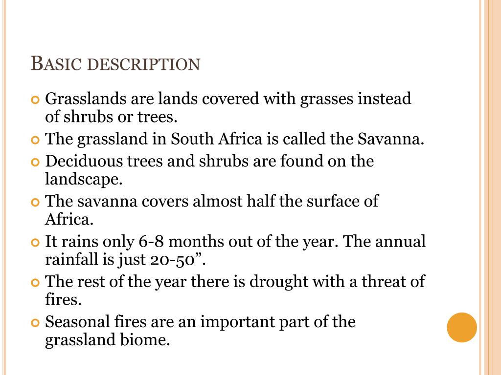 PPT African Grassland Biome PowerPoint Presentation, free download