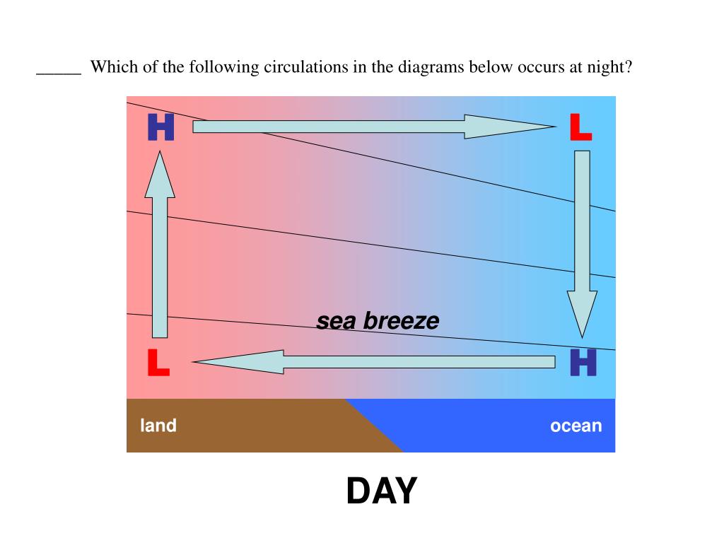 PPT _____ The lifting condensation level is the level at which, if an
