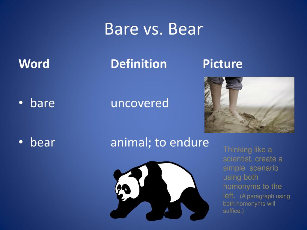 PPT Homonyms PowerPoint Presentation, free download ID2951386