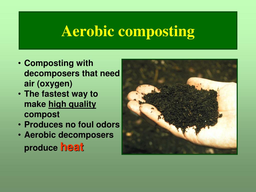 PPT Composting PowerPoint Presentation, free download ID2952591