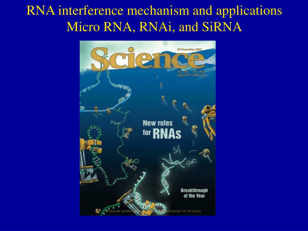 PPT The RNA World Sidney Altman 1989 Nobel Laureate in Chemistry