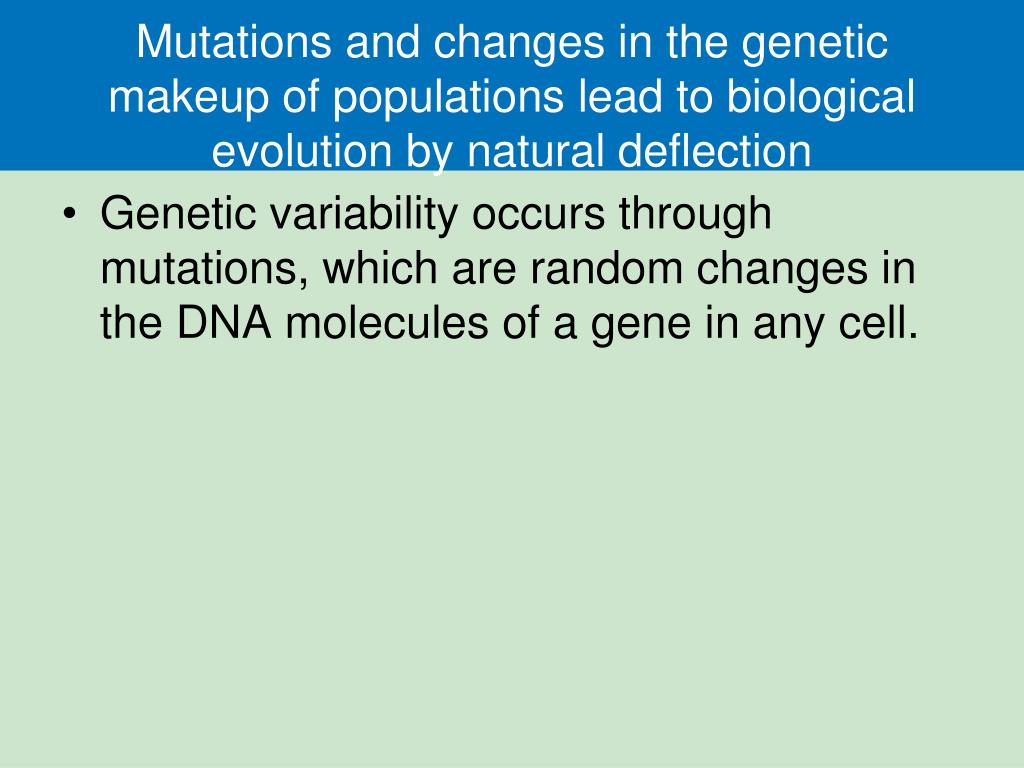 PPT Biodiversity and Evolution PowerPoint Presentation, free download