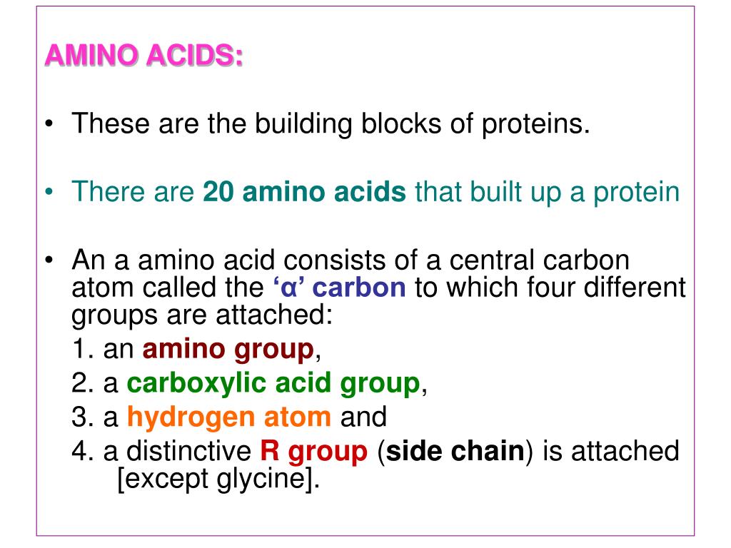 PPT AMINO ACIDS STRUCTURAL UNITS OF PROTEINS PowerPoint Presentation