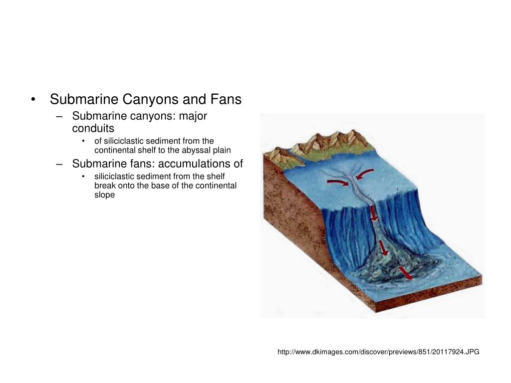 PPT Submarine Canyons and Fans Submarine canyons major conduits