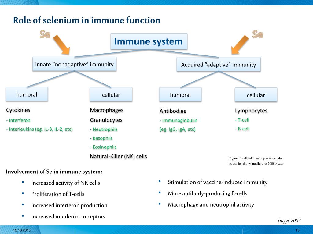 PPT Selenium in Nutrition and Toxicity PowerPoint Presentation, free