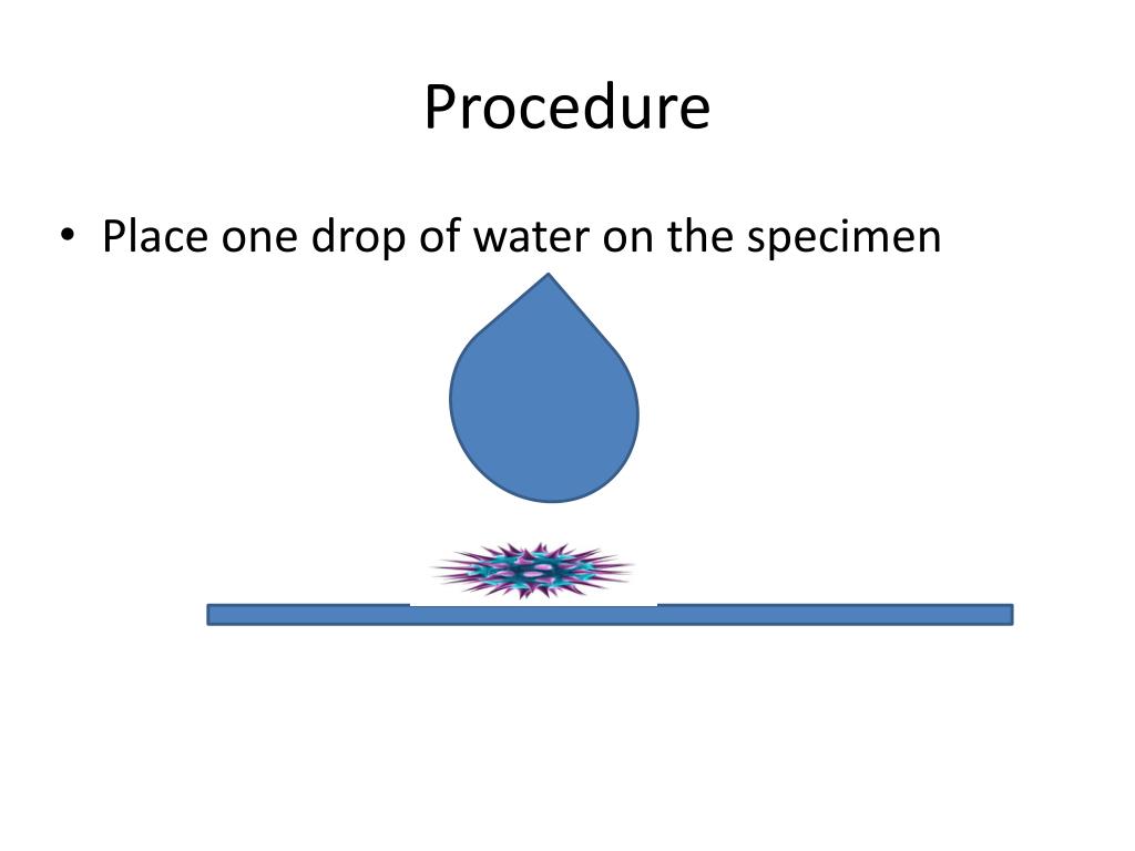 PPT The Wet Slide PowerPoint Presentation, free download ID2958225