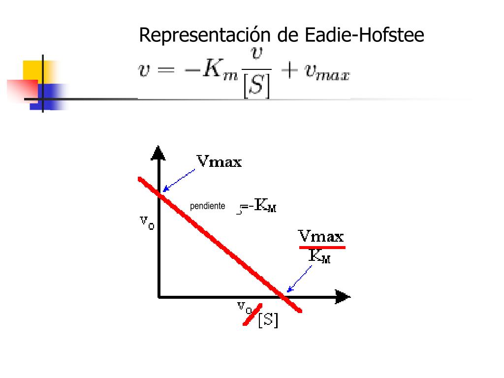 PPT Parte III. PowerPoint Presentation, free download ID2963531