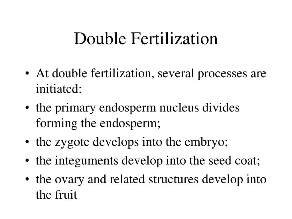 PPT Flowers PowerPoint Presentation, free download ID2964682