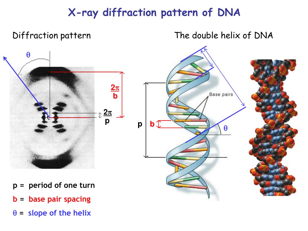 PPT Diffraction Small Features ( ) Reciprocal Space k x = 2 / x