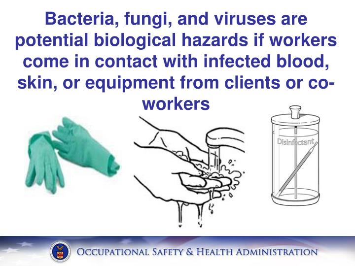 PPT Health Hazards in Nail Salons PowerPoint Presentation ID2965790