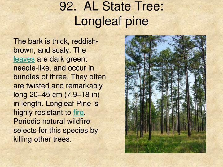 PPT Biodiversity of Alabama State and National Symbols PowerPoint