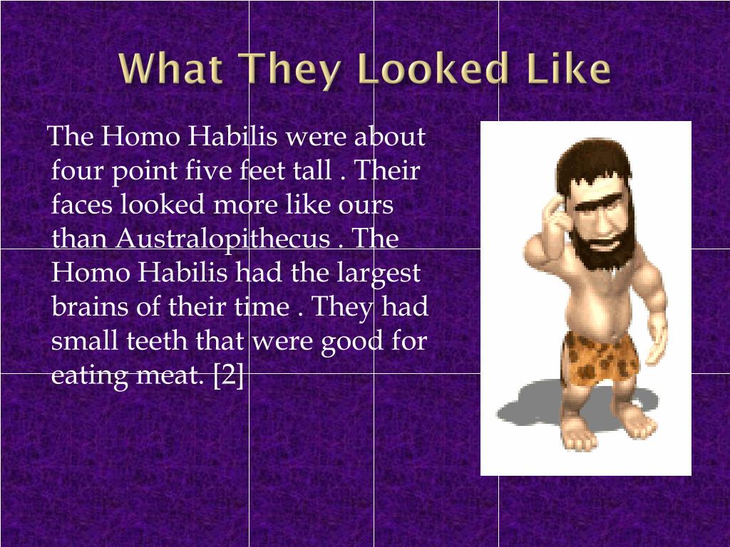 PPT Early Humans Homo Habilis PowerPoint Presentation ID2968881