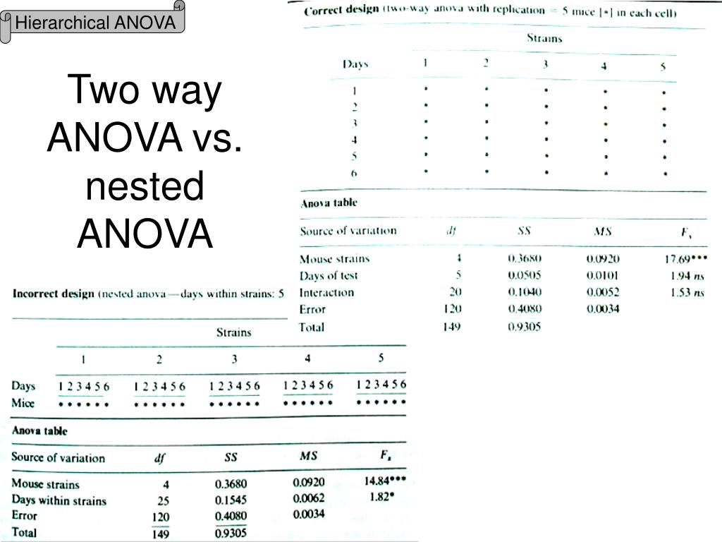PPT Hierarchical (nested) ANOVA PowerPoint Presentation, free