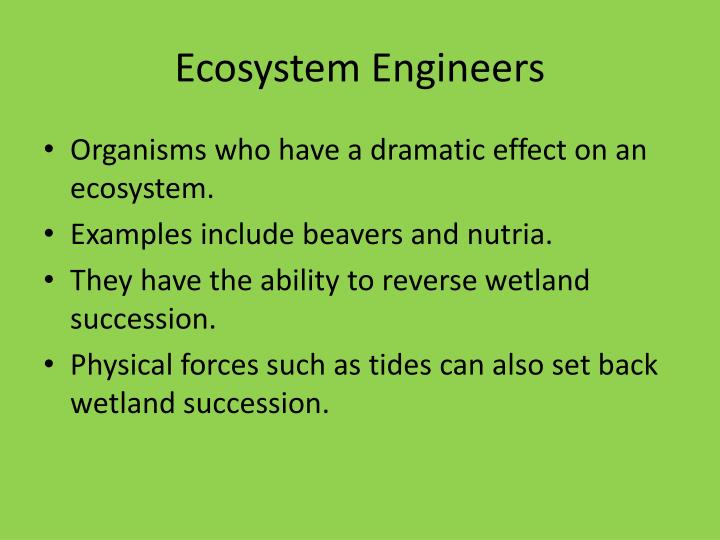PPT Wetland Ecosystem Development PowerPoint Presentation ID2972929