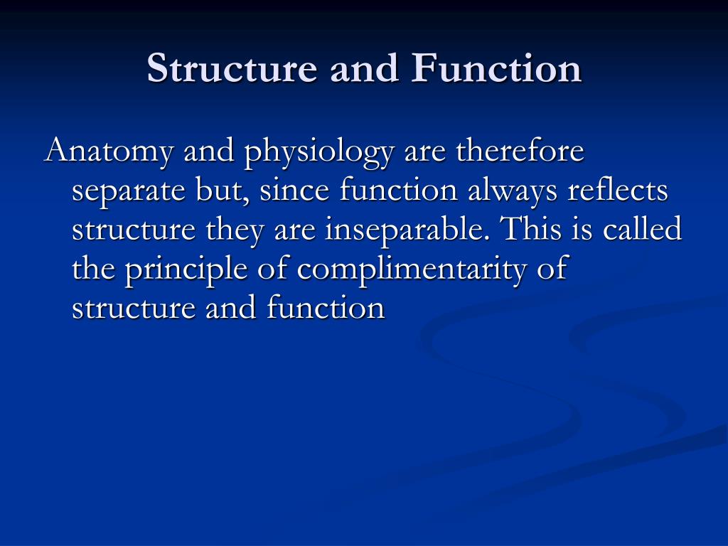 PPT Introduction to Anatomy & Physiology PowerPoint Presentation ID