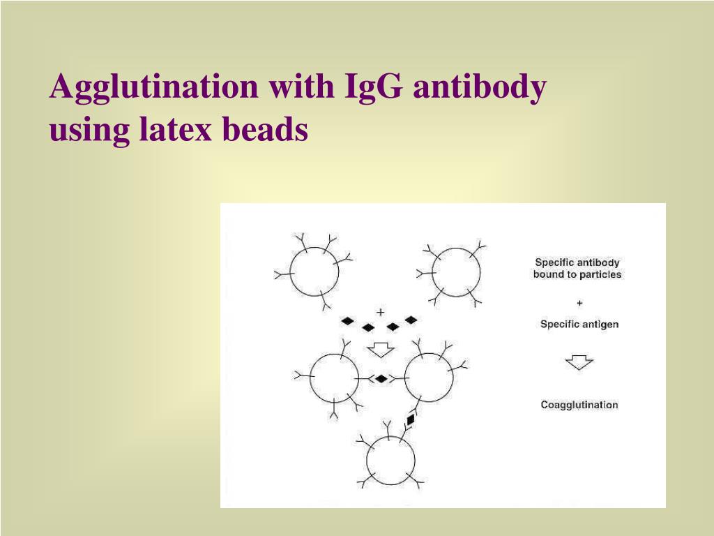 PPT Immunodiagnosis PowerPoint Presentation, free download ID2974658