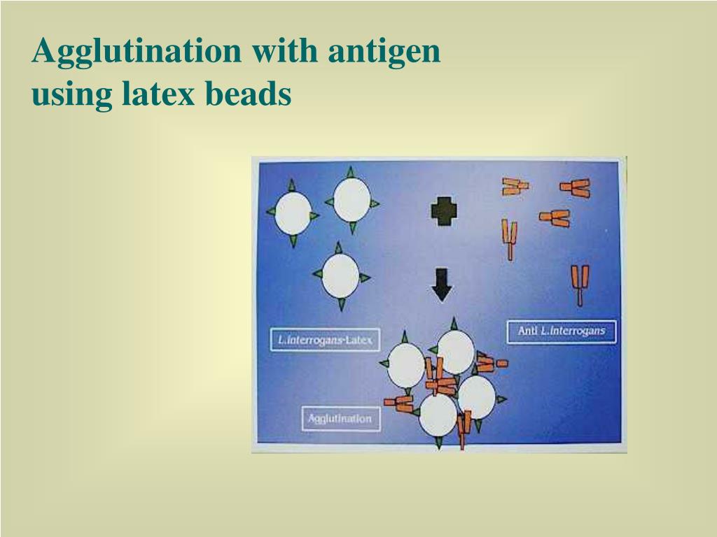 PPT Immunodiagnosis PowerPoint Presentation, free download ID2974658
