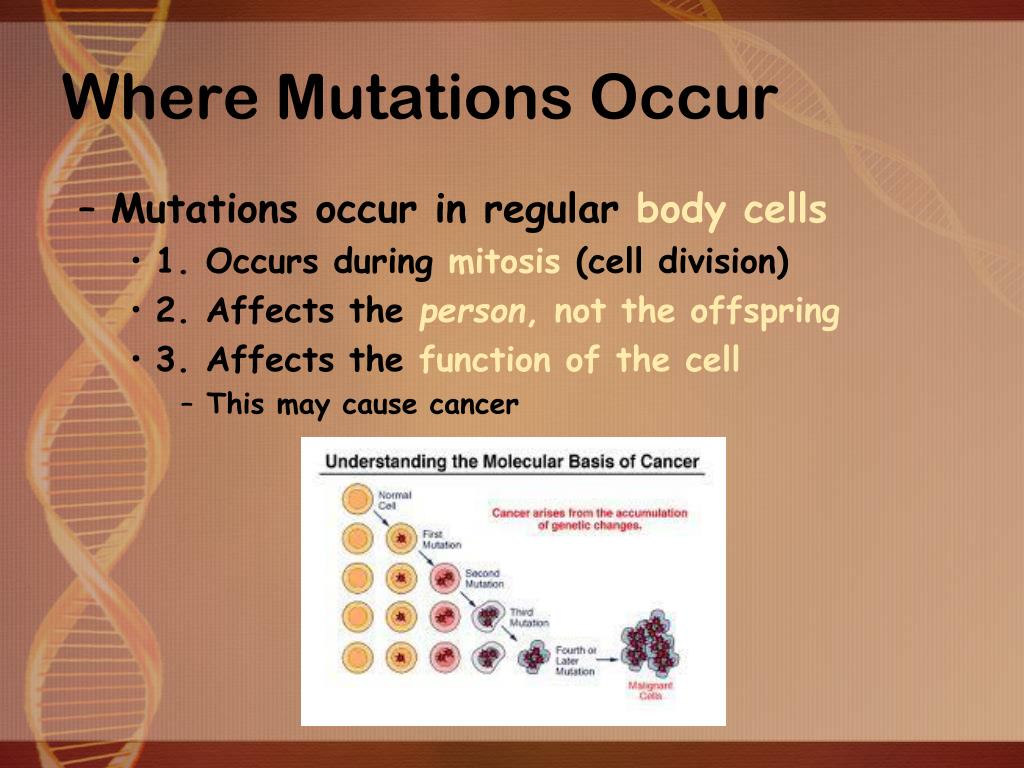PPT Mutations PowerPoint Presentation, free download