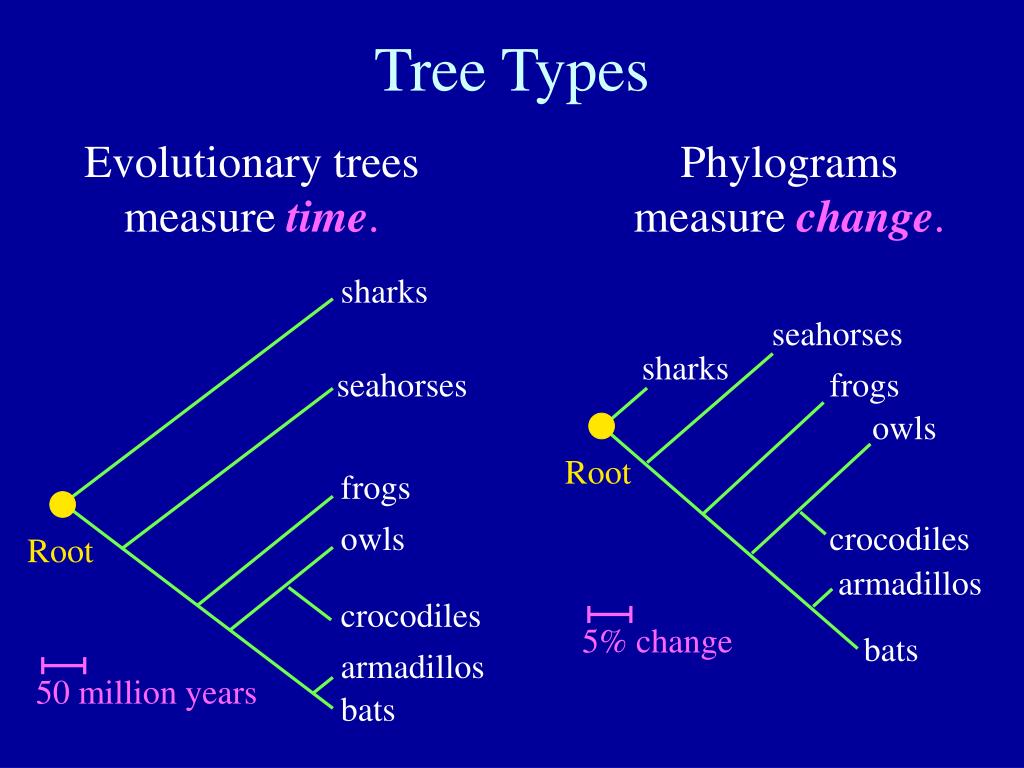 PPT An Introduction to PowerPoint Presentation, free
