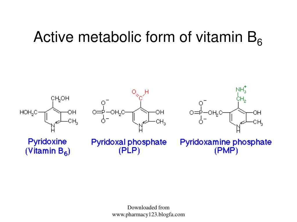 PPT AMINO ACID METABOLISM PowerPoint Presentation, free download ID