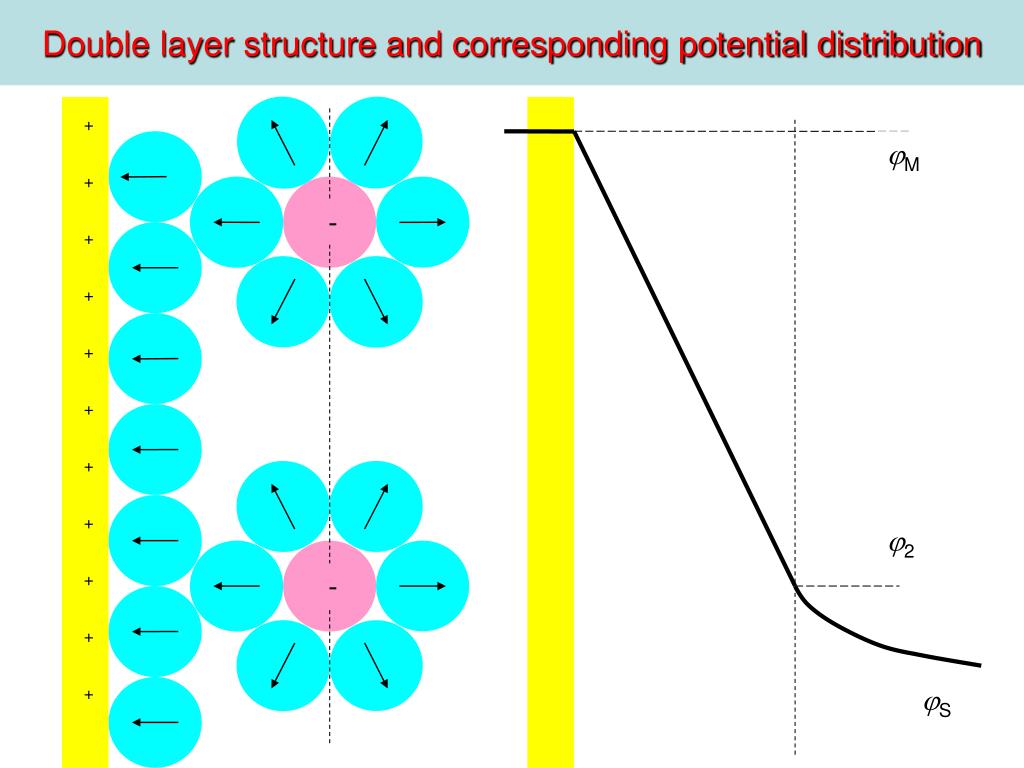 PPT Double layer structure and corresponding potential distribution