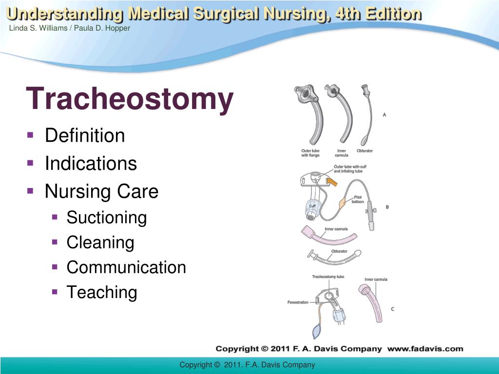 PPT Chapter 29 PowerPoint Presentation, free download ID2979314