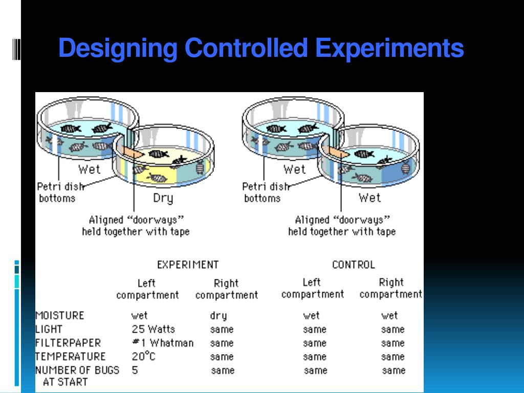 PPT Biology & The Scientific Method PowerPoint Presentation, free download ID2979432