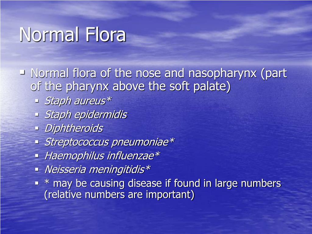 PPT Normal Flora PowerPoint Presentation, free download ID2979538
