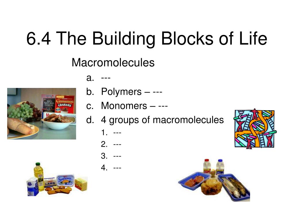 PPT 6.4 The Building Blocks of Life PowerPoint Presentation, free