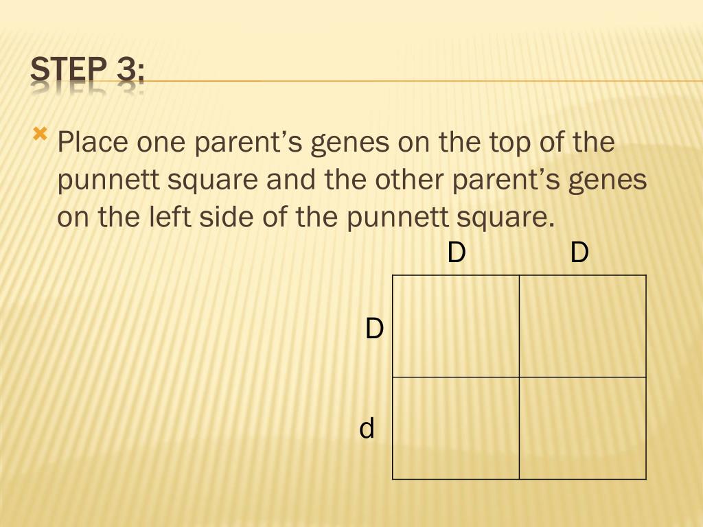 PPT How to do a Square in 5 Easy Steps PowerPoint