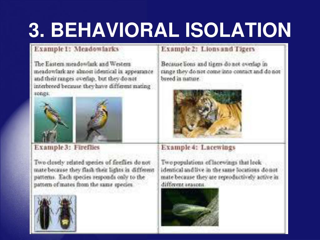 PPT EVOLUTION CHANGE OVER TIME PowerPoint Presentation, free