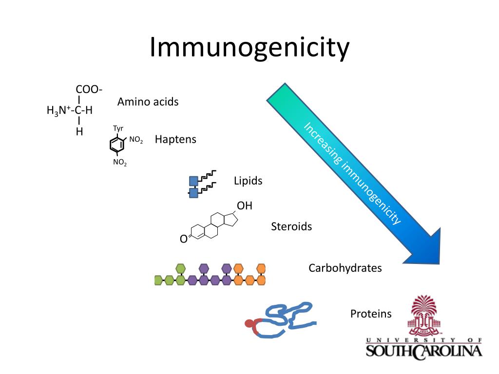 PPT Antigens PowerPoint Presentation, free download ID2994962