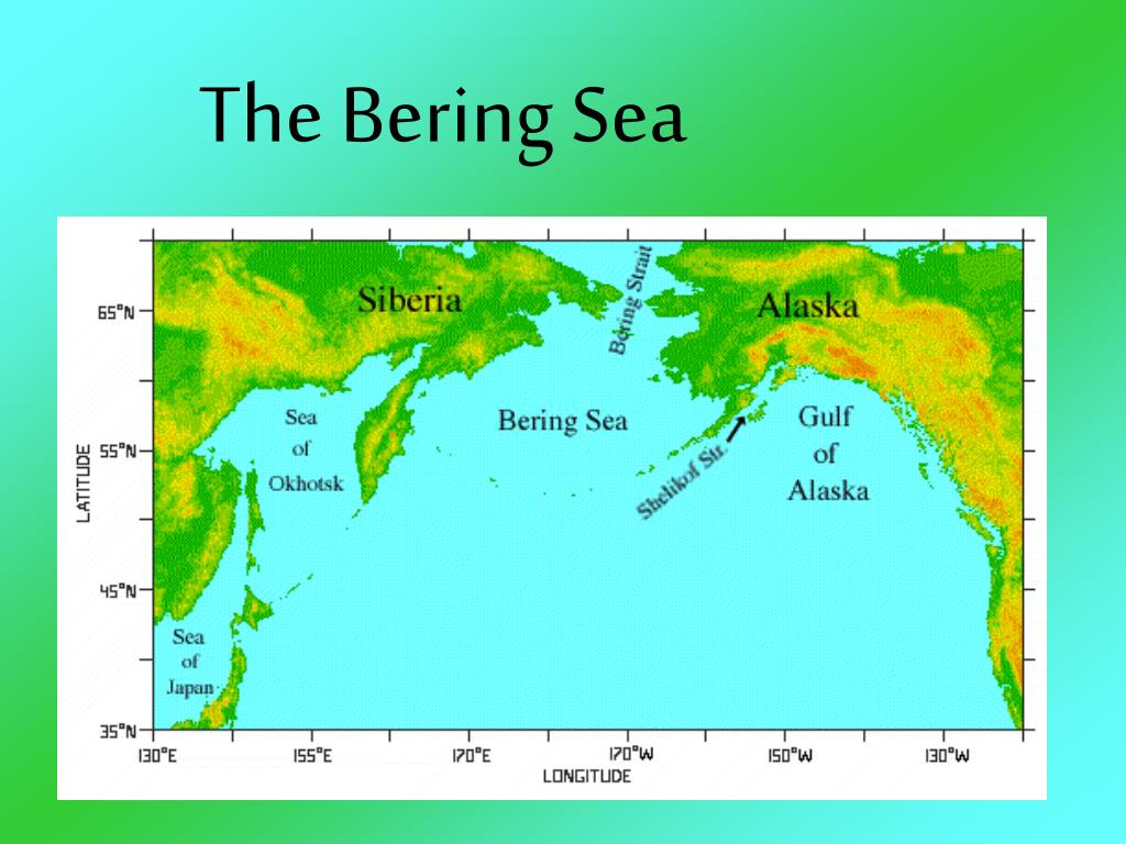 PPT The Bering Sea PowerPoint Presentation, free download ID2994993