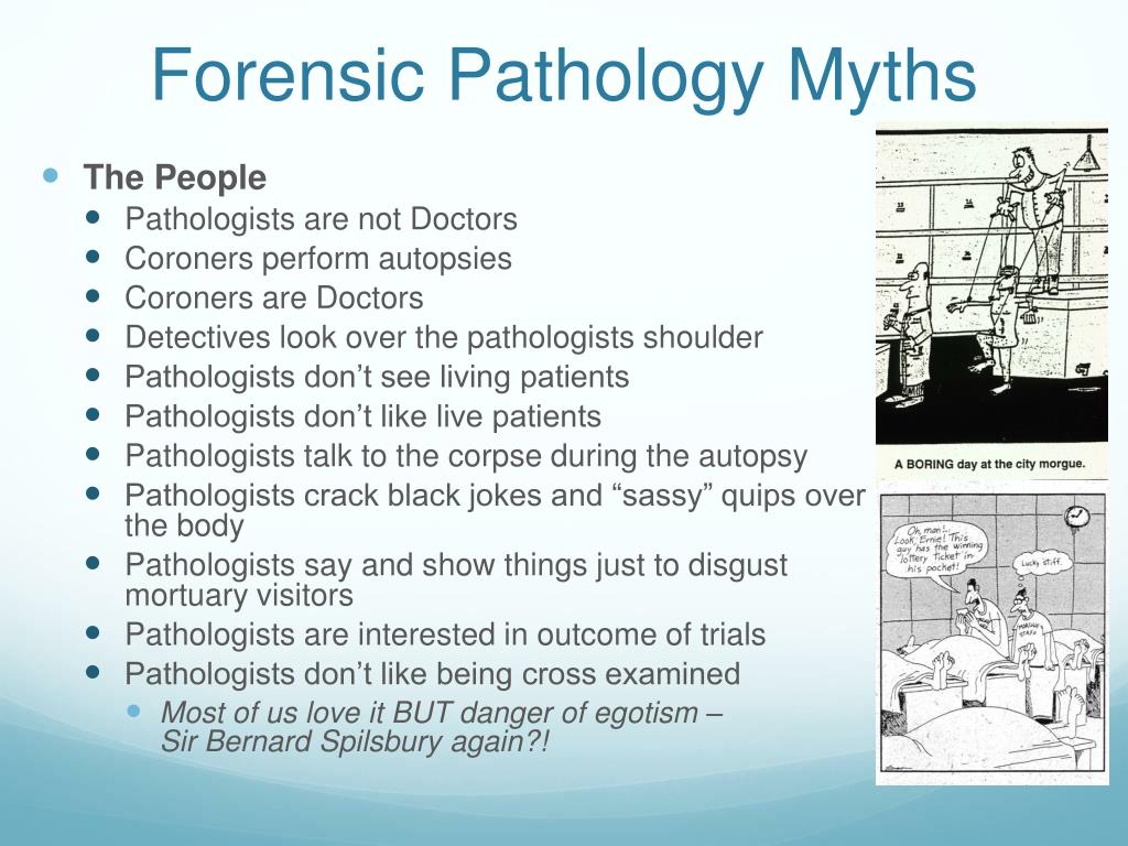 PPT Forensic pathology and the CSI Effect A Pathologists Perspective(04)